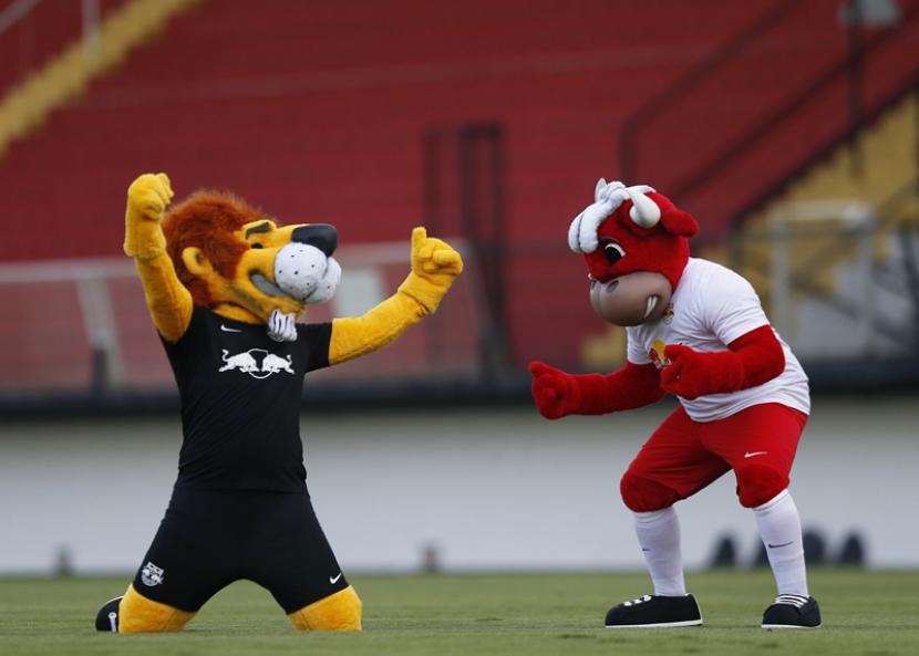 Os Mascotes Dos Clubes Da Serie A Do Brasileirao Perspectiva Online